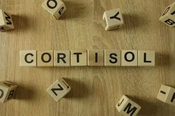 The Hidden Connection: How Stress Shapes Your Fitness and Body Composition 2 Image saying "Cortisol" and how stress Peterborough impacts your wellbeing and bodies shape